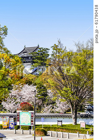 岡崎公園桜まつり 61790438