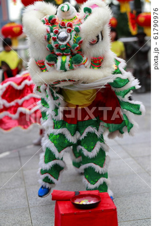 中華街のしし舞 獅子舞い 獅子 中華街のしし舞 獅子舞い 獅子 61790976