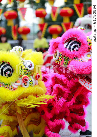 しし舞 しし舞 61790994