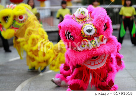 中華街のしし舞 獅子舞い 獅子 中華街のしし舞 獅子舞い 獅子 61791019
