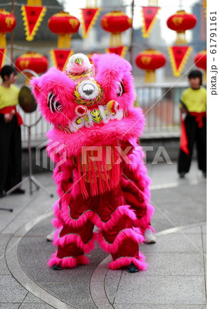 中華街のしし舞　獅子舞い　獅子 61791161