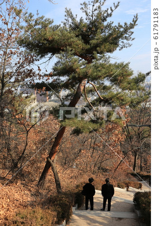 トップ タワー 塔 61791183