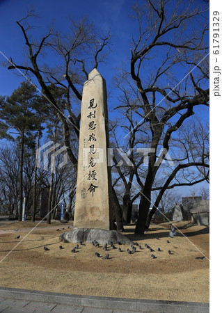 トップ タワー 塔 61791329