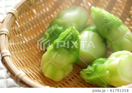 春野菜の蕾菜 春野菜の蕾菜 61791358