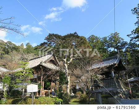 丹生のお大師 女人高野 神宮寺 丹生のお大師 女人高野 神宮寺 61791560