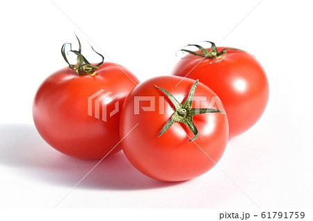 フルーツトマト 61791759