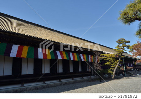 三十三間堂 61791972