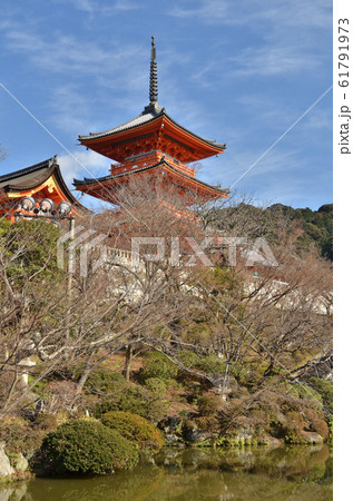 清水寺 61791973