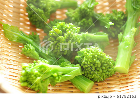 春野菜の菜の花のイメージ写真 61792163