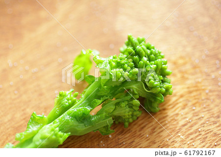 春野菜の菜の花のイメージ写真 春野菜の菜の花のイメージ写真 61792167