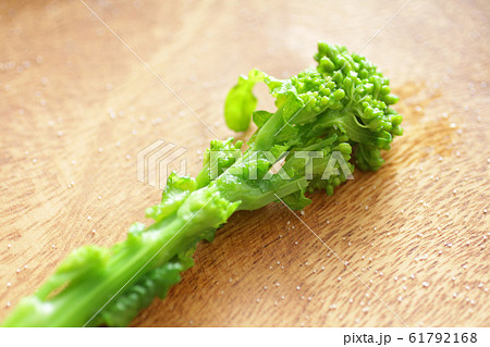 春野菜の菜の花のイメージ写真 春野菜の菜の花のイメージ写真 61792168