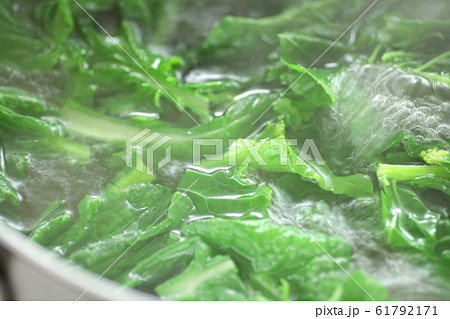 春野菜の菜の花のイメージ写真 春野菜の菜の花のイメージ写真 61792171