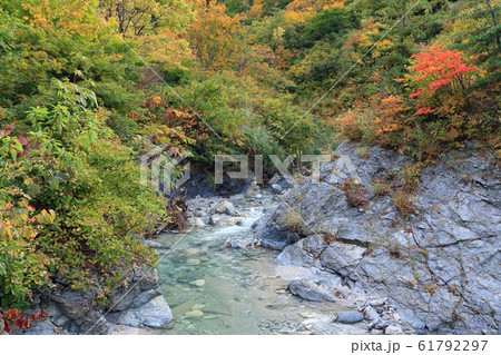 川原毛大湯滝付近の渓流 61792297