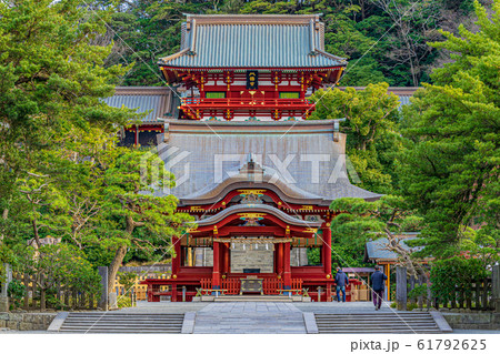 【神奈川県】　鎌倉　鶴岡八幡宮 61792625