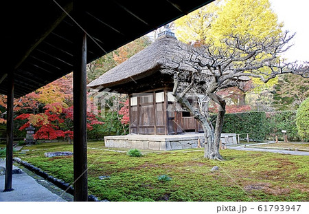 北鎌倉・長寿寺 秋の特別拝観 北鎌倉・長寿寺 秋の特別拝観 61793947
