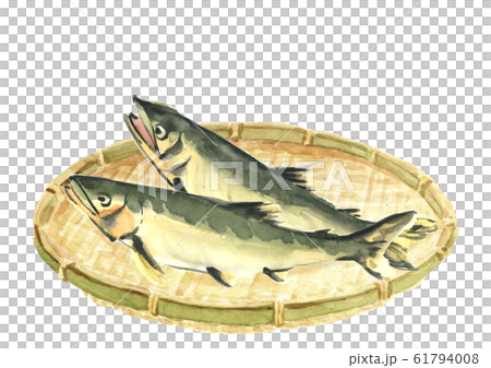 Ayu watercolor ayu fish colander 61794008