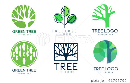 Green Tree Logo Templates Collection, Abstract Organic Badges Vector Illustration 61795792