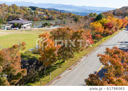 愛知県 茶臼山高原 紅葉の写真素材