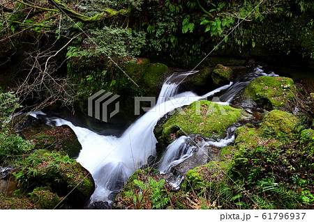 大岩川・千巌渓 61796937