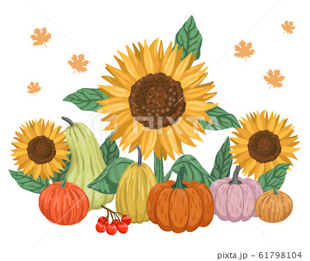 Autumn harvest, berries and sunflowers. Cartoon vector illustration isolated on white background. 61798104