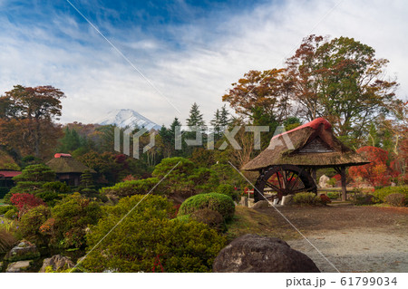 忍野八海　日本庭園と富士山 61799034