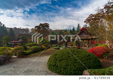 忍野八海　日本庭園と富士山 61799036