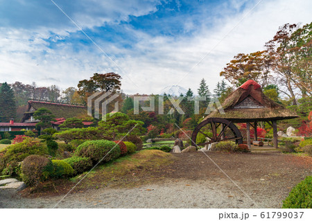 忍野八海　日本庭園と富士山 61799037