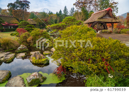忍野八海　日本庭園と富士山 61799039