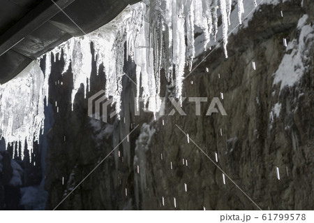 Icicles at Partnachklamm in Garmisch-Partenkirchen 61799578