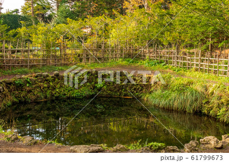 忍野八海　銚子池　山梨 61799673