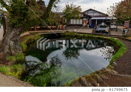 忍野八海　鏡池と富士山 61799675