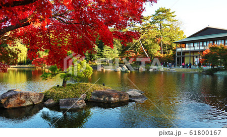 愛知県 名古屋市 徳川園 紅葉 愛知県 名古屋市 徳川園 紅葉 61800167