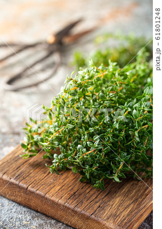 Bunch of fresh thyme 61801248
