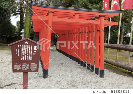 熊本市 水前寺公園、 熊本市 水前寺公園、 61802811