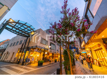 日本の横浜都市景観 横浜・元町を望む 日本の横浜都市景観 横浜・元町を望む 61803416