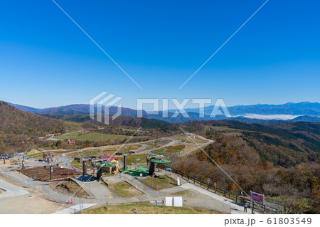 ［愛知県］　茶臼山高原　紅葉 61803549