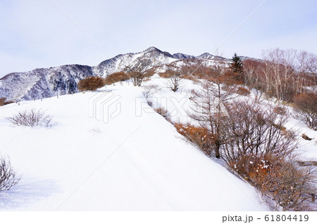 日光　霧降高原から赤薙山への登山道 61804419