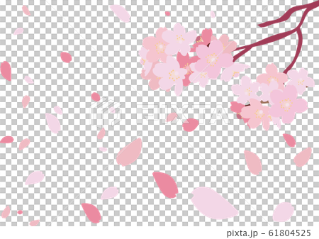 イラスト素材 桜 さくら サクラ 花びら 木 ベクターのイラスト素材