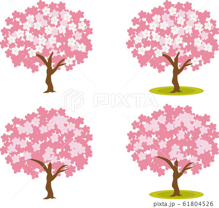 イラスト素材 桜の木 さくら サクラ 花びら ベクターのイラスト素材