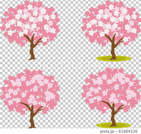 イラスト素材 桜の木 さくら サクラ 花びら ベクターのイラスト素材