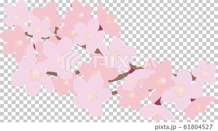 イラスト素材 桜 さくら サクラ 花びら 枝 木 ベクターのイラスト素材