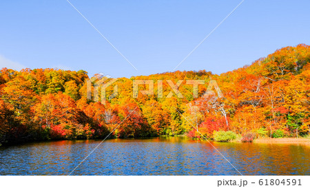 鎌池の紅葉 鎌池の紅葉 61804591