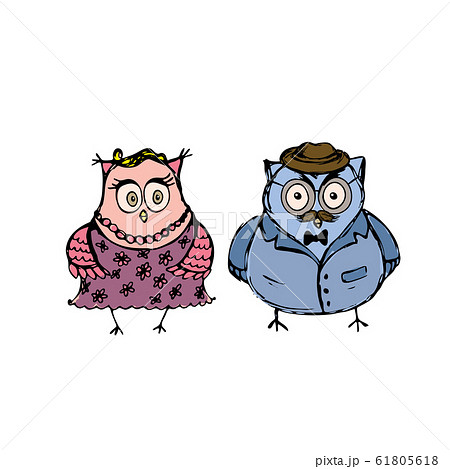 two owls isolated on white background 61805618