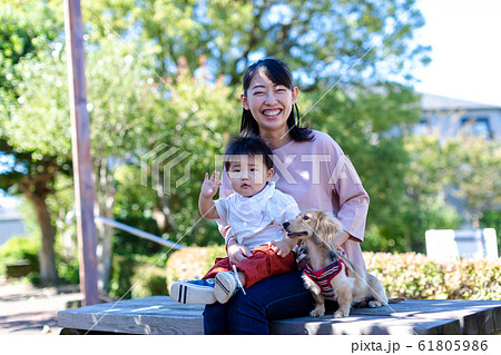 公園で遊ぶ親子と愛犬 公園で遊ぶ親子と愛犬 61805986