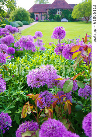 イギリス 庭園 ガーデニング ガーデン イングリッシュガーデンの写真素材