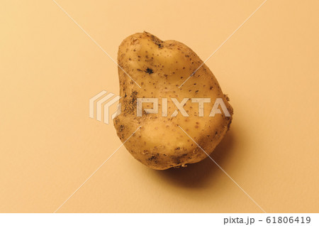 Ugly mutant odd organic big potato jagged on beige Ugly mutant odd organic big potato jagged on beige 61806419
