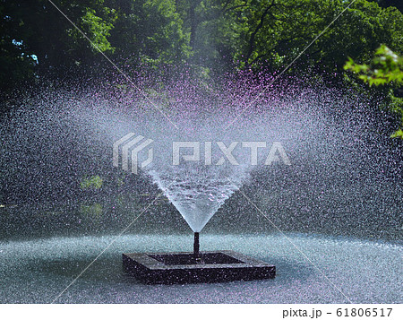 ＜武蔵野＞初夏の井の頭池・噴水（5月中下旬） 61806517