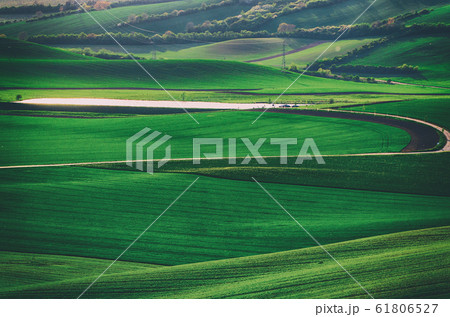 Green grass field background 61806527