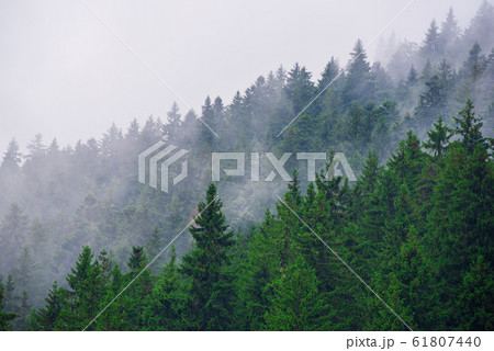 Misty mountain landscape Misty mountain landscape 61807440