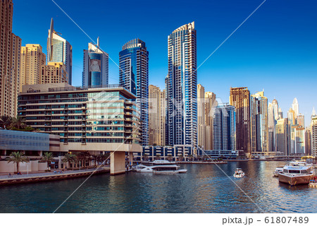 Dubai Marina at sunset 61807489